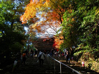 DSCF2343